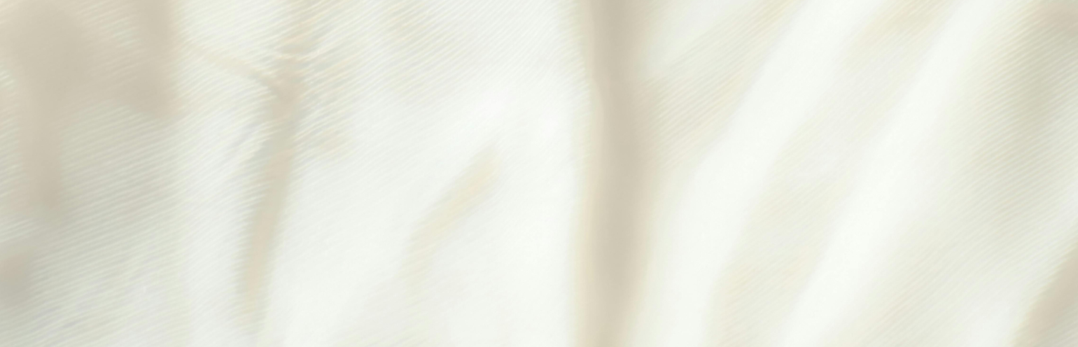 Design, Styling & Restoration